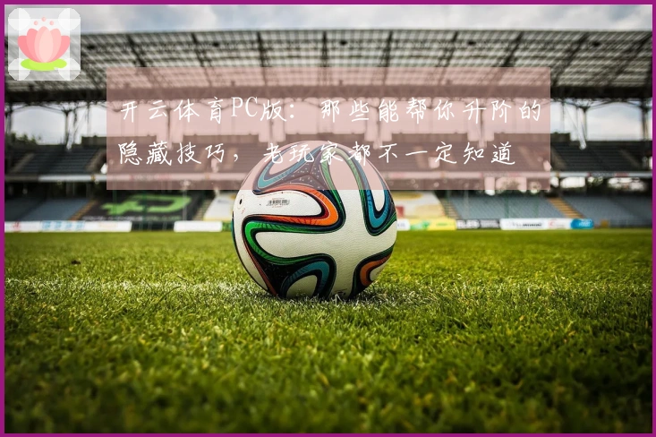 开云体育PC版：那些能帮你升阶的隐藏技巧，老玩家都不一定知道